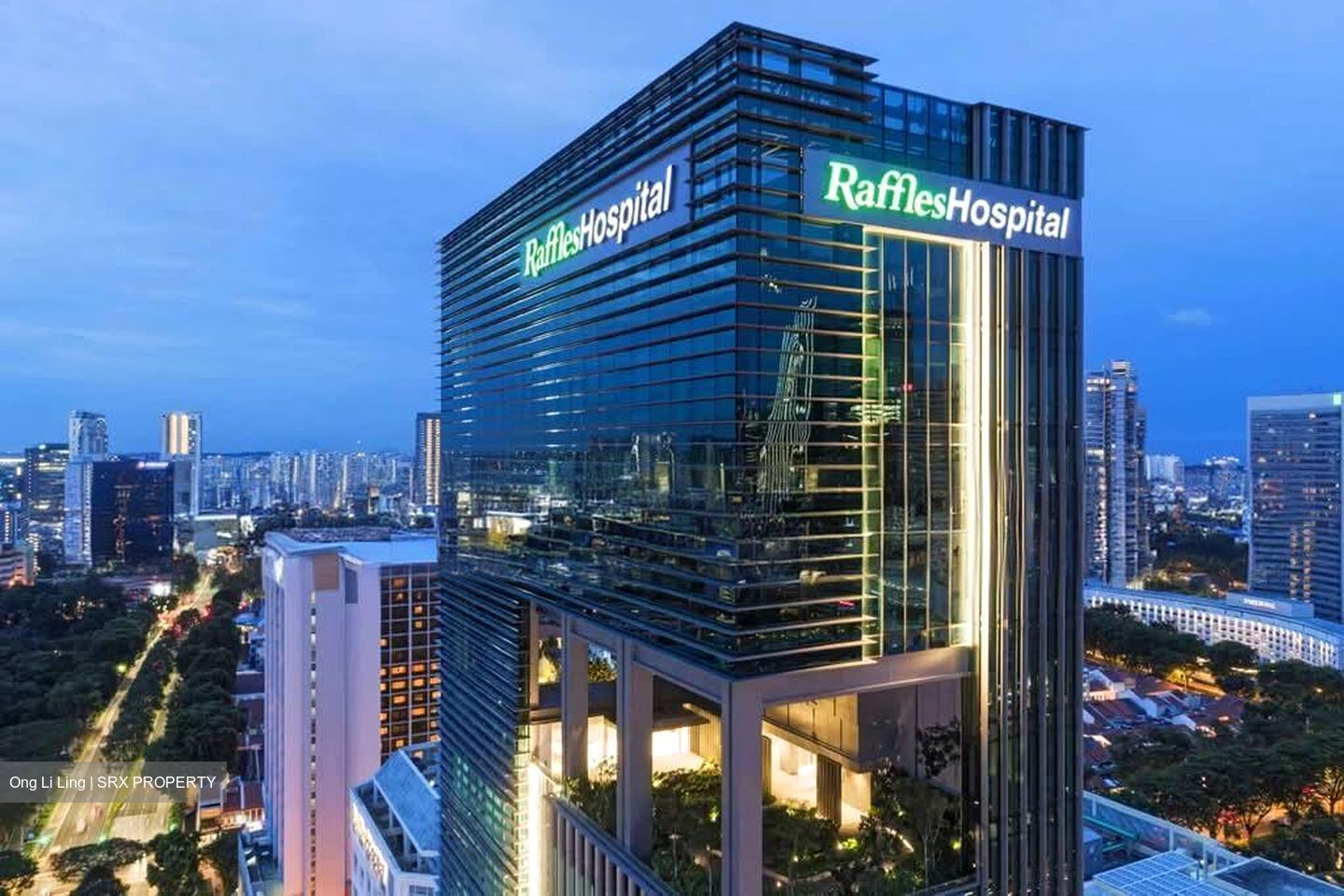 Raffles Hospital (D7), Retail #586612971